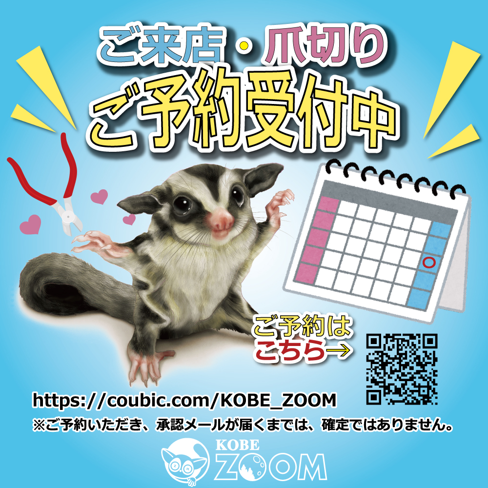 KOBE ZOOM★ご来店・爪切り★ネット予約承り中！