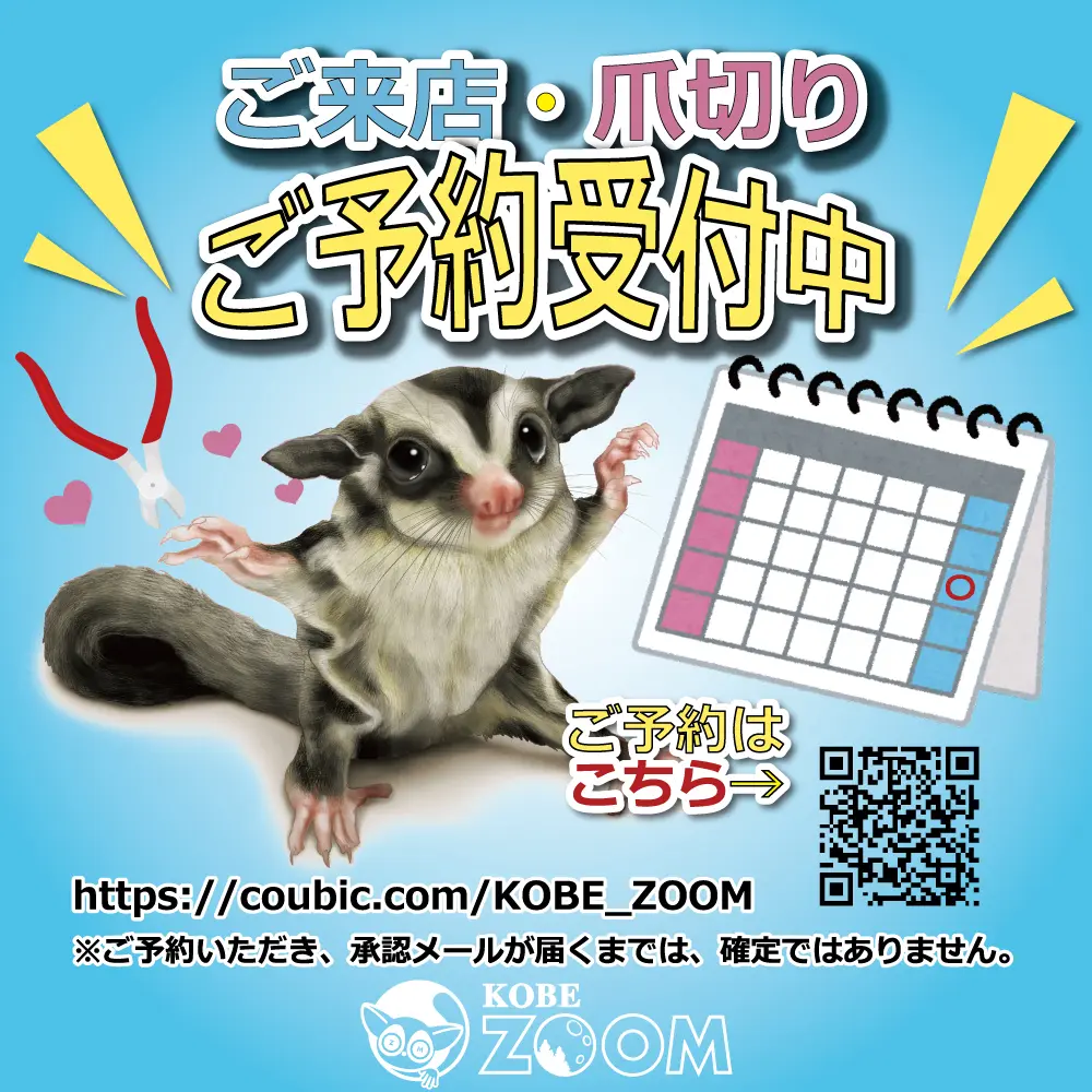 エキゾチックアニマル専門店 - KOBE ZOOM【神戸ズーム】